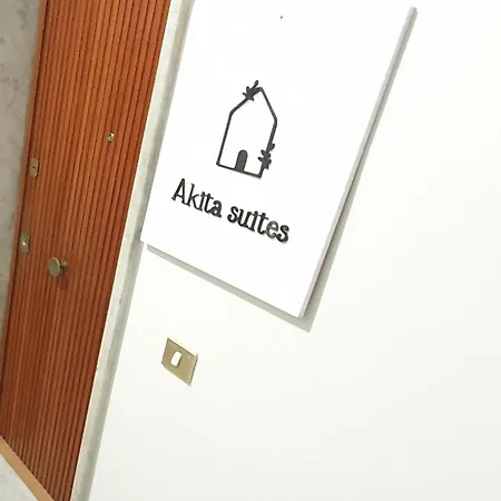 Akita Барі